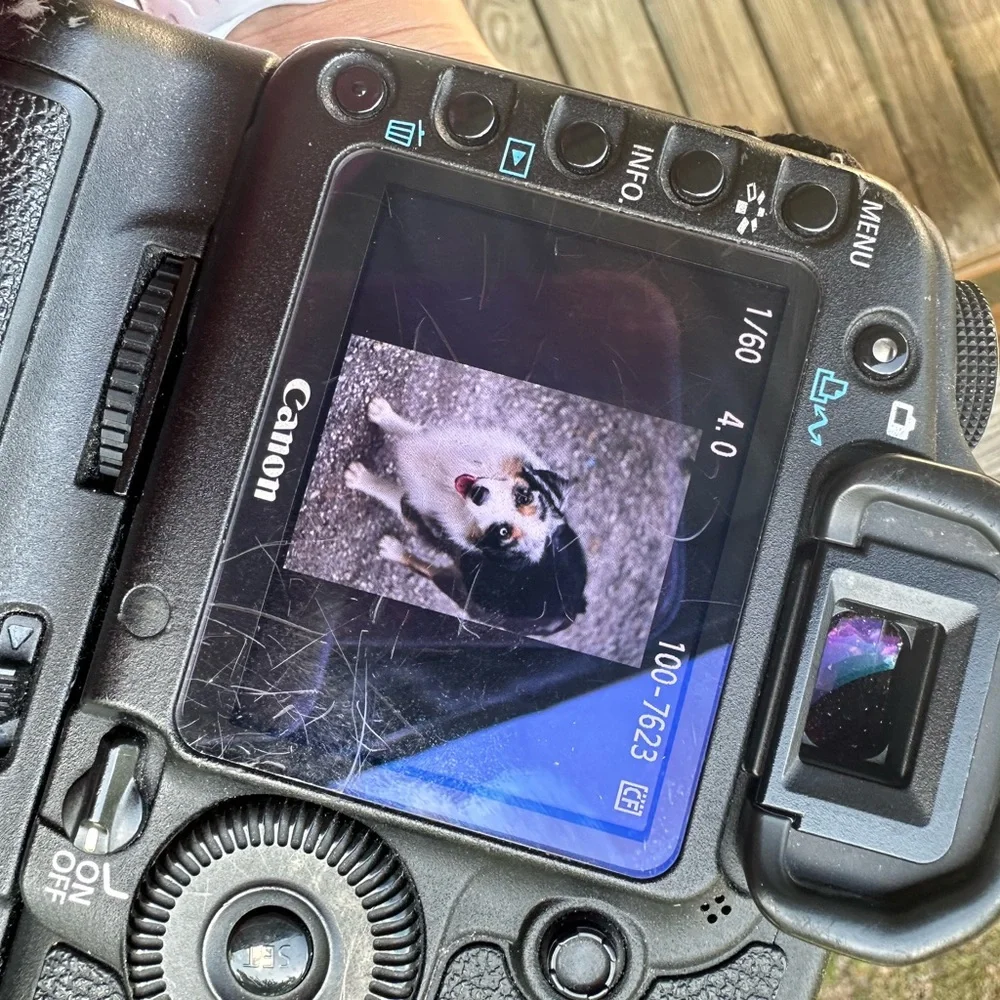 Canon EOS 5D Mark II Black Camera